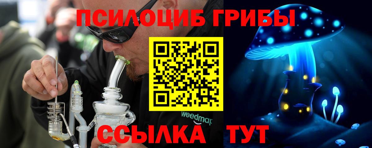 Псилоцибиновые грибы прущие грибы  хочу   Псилоцибиновые грибы GOLDEN TEACHER  Абакан  Вход с VPN 