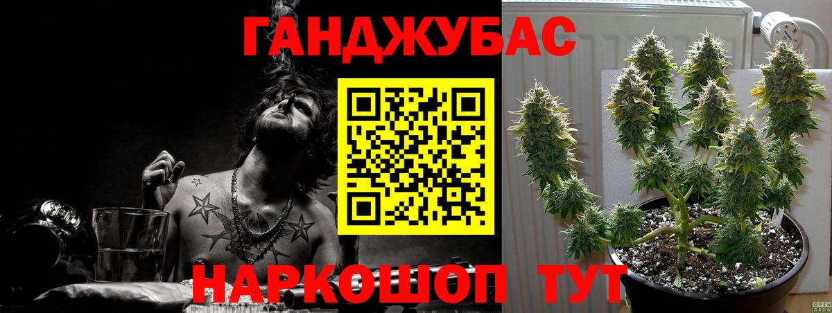 Шишки марихуана план Абакан